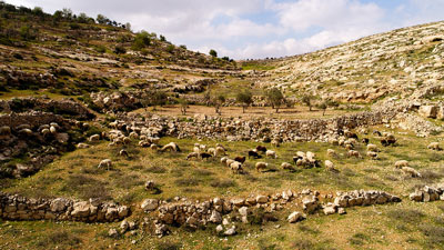 迦密 Carmel (城市), 大衛逃亡之旅