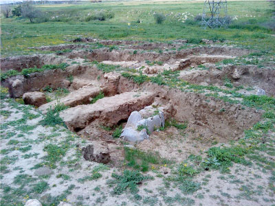 迦特 / 該 Gath (城市), 大衛逃亡之旅