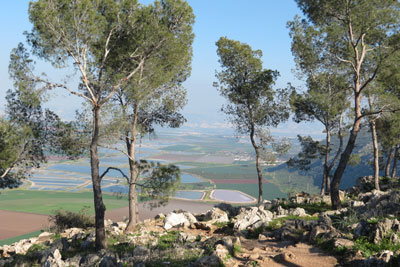 基利波山 Mount Gilboa (山), 掃羅最後戰役 / 大衛登基之路