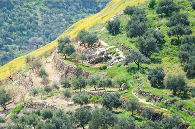 基列雅比 Jabesh-gilead (城市), 掃羅最後戰役 / 大衛登基之路