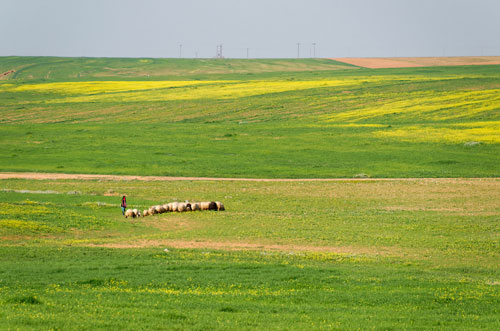 米底巴 Medeba (城市), 大衛國土的擴展