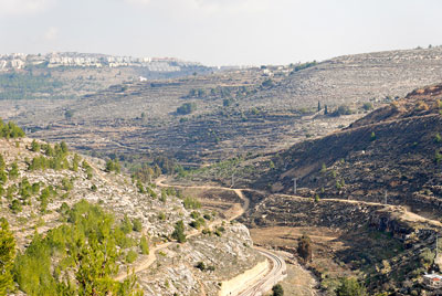 利乏音谷 Valley of Rephaim (山谷), 大衛接回約櫃