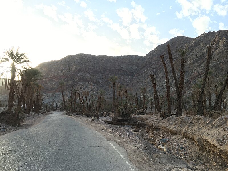 利非訂 Rephidim (曠野), 摩西出埃及之旅